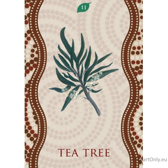 Aboriginal Healing Oracle kortos Rockpool 3 Aboriginal Healing Oracle kortos Rockpool 3