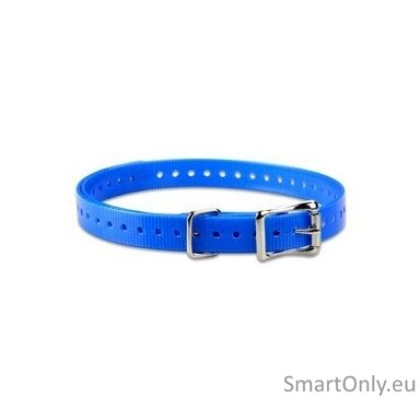 ACC,COLLAR STRAP,3/4in,SQ-BUCKLE,TUCK-RING,NICKEL,BLUE