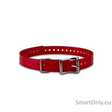 ACC,COLLAR STRAP,3/4in,SQ-BUCKLE,TUCK-RING,NICKEL,RED