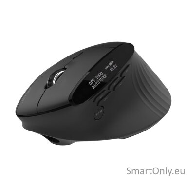 Acer Smart Fit Vertical Mouse, retail pack Acer Smart Fit Vertical Mouse, retail pack