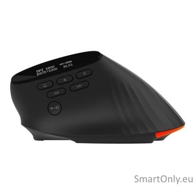Acer Smart Fit Vertical Mouse, retail pack 7