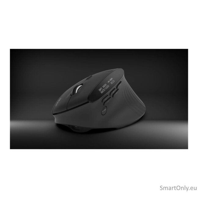 Acer Smart Fit Vertical Mouse, retail pack 8
