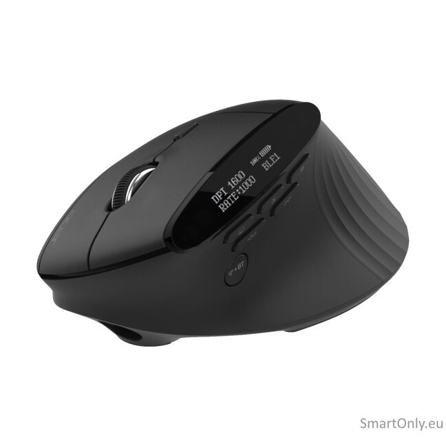 Acer Smart Fit Vertical Mouse, retail pack