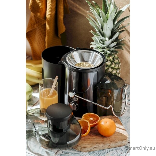 Adler AD 4132 | Type Juicer maker | Dark Inox | 800 W | Number of speeds 3 7
