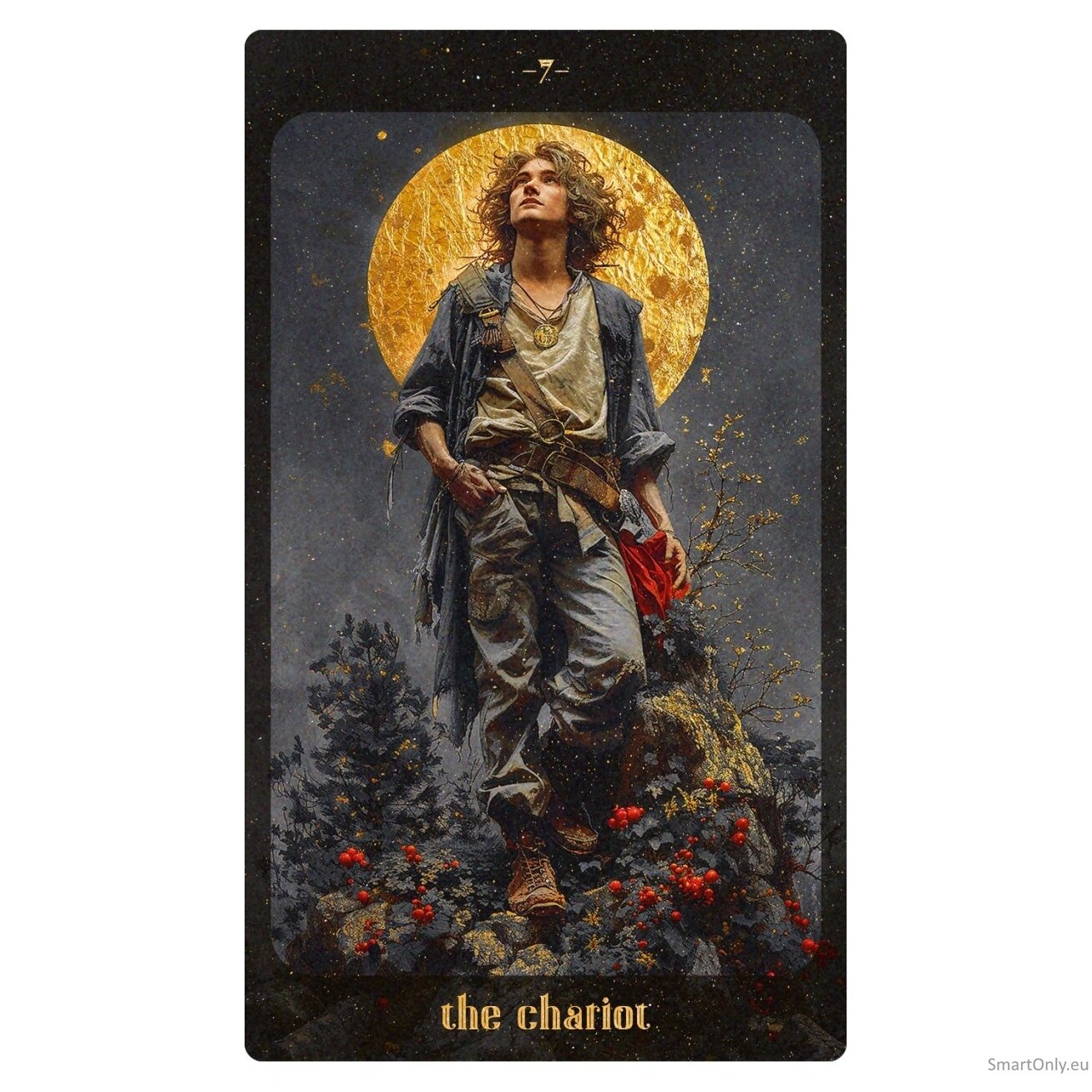Amber Moon Tarot Kortos Dusserre 6