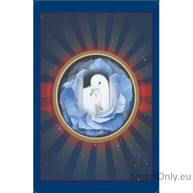 animal-love-oracle-kortos-bear-and-company