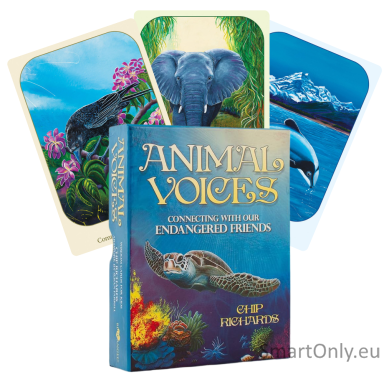 Animal Voices Oracle kortos Blue Angel