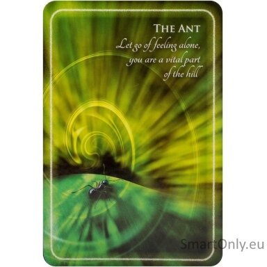 animal-whispers-empowerment-kortos-findhorn-press