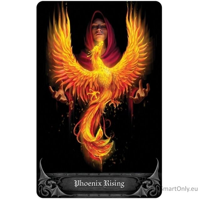 Anne Stokes Gothic Oracle Kortų ir knygos rinkinys US Games Systems 10
