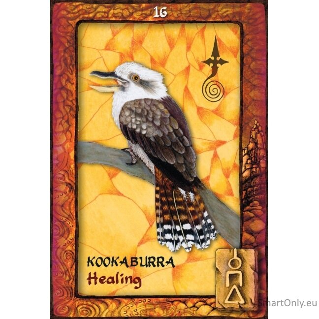 Animal Dreaming Oracle kortos Blue Angel 6