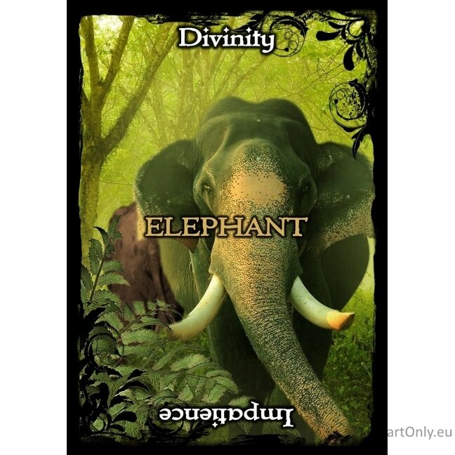 Animal Guidance And Aspects Oracle kortos Solarus 3 Animal Guidance And Aspects Oracle kortos Solarus 3