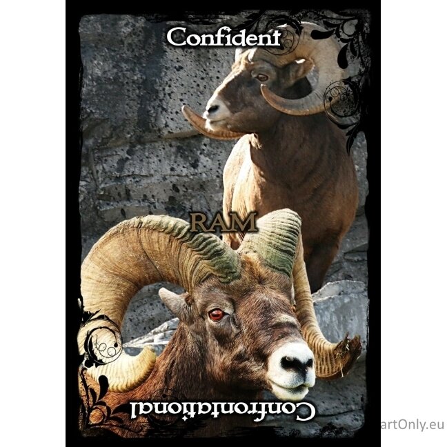 Animal Guidance And Aspects Oracle kortos Solarus 8 Animal Guidance And Aspects Oracle kortos Solarus 8