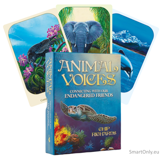 Animal Voices Oracle kortos Blue Angel Animal Voices Oracle kortos Blue Angel