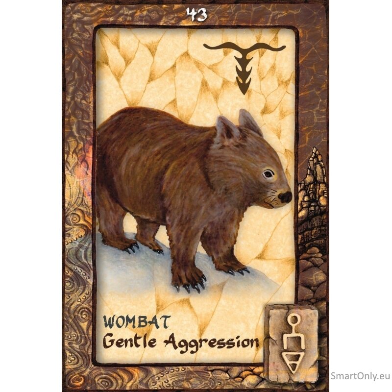 Animal Dreaming Oracle kortos Blue Angel 2 Animal Dreaming Oracle kortos Blue Angel 2