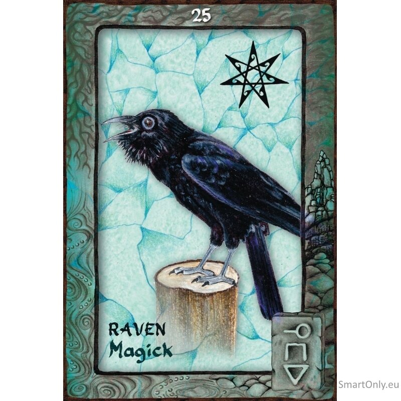 Animal Dreaming Oracle kortos Blue Angel 3 Animal Dreaming Oracle kortos Blue Angel 3