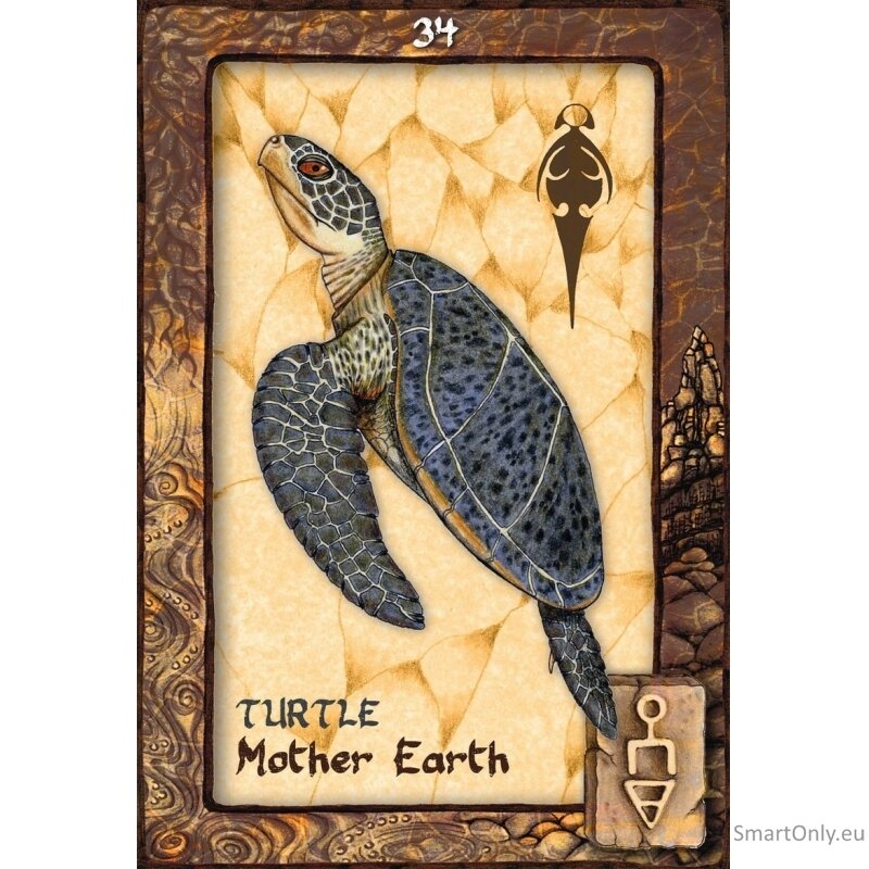 Animal Dreaming Oracle kortos Blue Angel 4 Animal Dreaming Oracle kortos Blue Angel 4