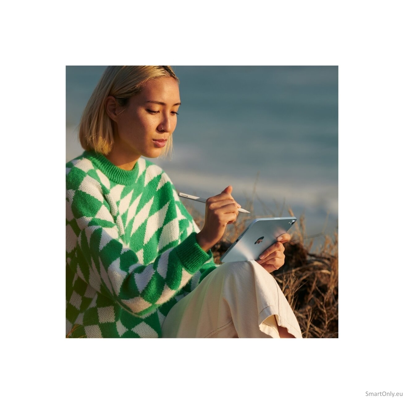 Apple iPad Mini (A17 Pro) Wi-Fi + Cellular 256GB Blue 13