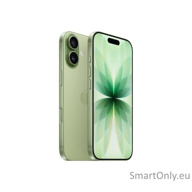 Apple | iPhone 17 | Sage | 6.3 " | 2622 x 1206 pixels | OLED | A19 | Internal RAM 8 GB | 256 GB | Dual SIM | Nano SIM | 5G | Main camera resolution 48 MP | iOS 26 | Secondary camera resolution 48 MP