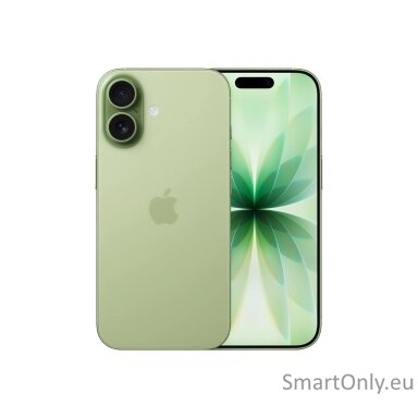 Apple | iPhone 17 | Sage | 6.3 " | 2622 x 1206 pixels | OLED | A19 | Internal RAM 8 GB | 256 GB | Dual SIM | Nano SIM | 5G | Main camera resolution 48 MP | iOS 26 | Secondary camera resolution 48 MP