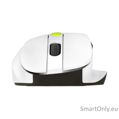 Asus Mouse | MD105 | Wireless | Bluetooth, 2.4GHz | Volt Green