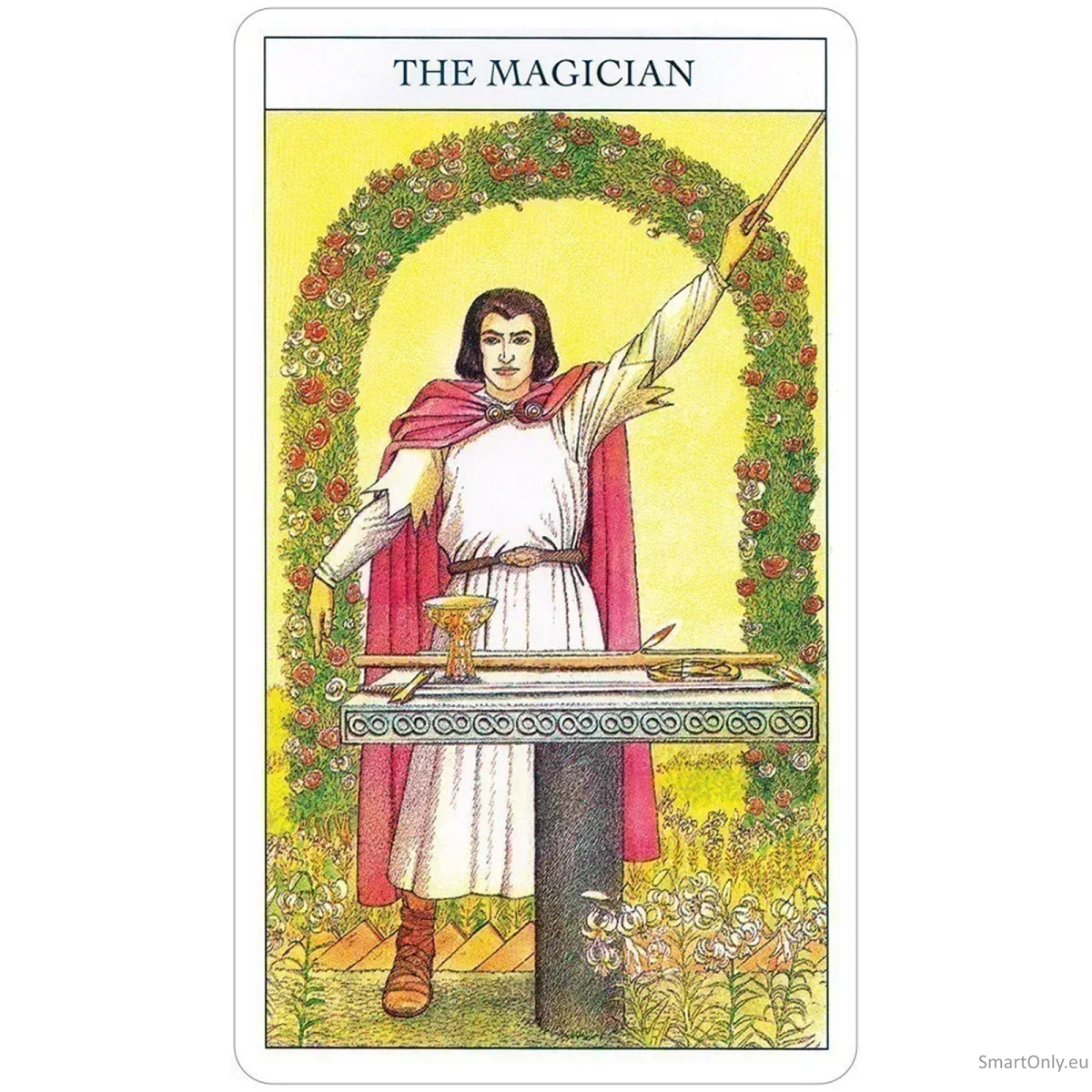 Beginners Guide To Tarot kortos ir knyga US Games Systems 14