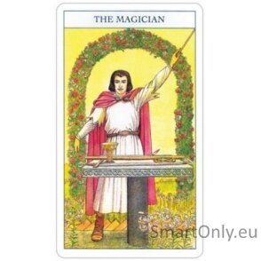 Beginners Guide To Tarot kortos ir knyga US Games Systems 2 Beginners Guide To Tarot kortos ir knyga US Games Systems 2