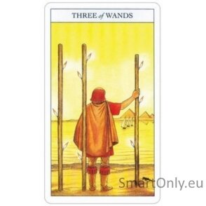 Beginners Guide To Tarot kortos ir knyga US Games Systems 5 Beginners Guide To Tarot kortos ir knyga US Games Systems 5