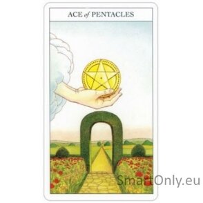 Beginners Guide To Tarot kortos ir knyga US Games Systems 7 Beginners Guide To Tarot kortos ir knyga US Games Systems 7