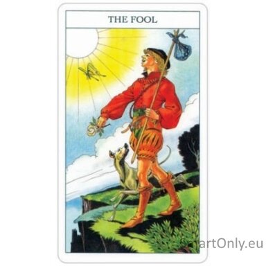 Beginners Guide To Tarot kortos ir knyga US Games Systems