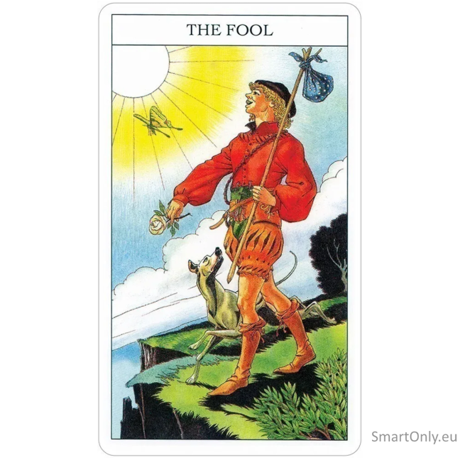 Beginners Guide To Tarot kortos ir knyga US Games Systems 10