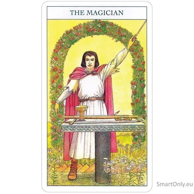 Beginners Guide To Tarot kortos ir knyga US Games Systems 14
