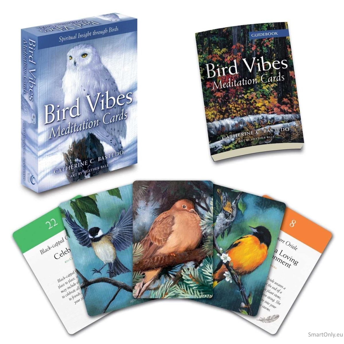 Bird Vibes Meditation kortos Beyond Woords 1 Bird Vibes Meditation kortos Beyond Woords 1