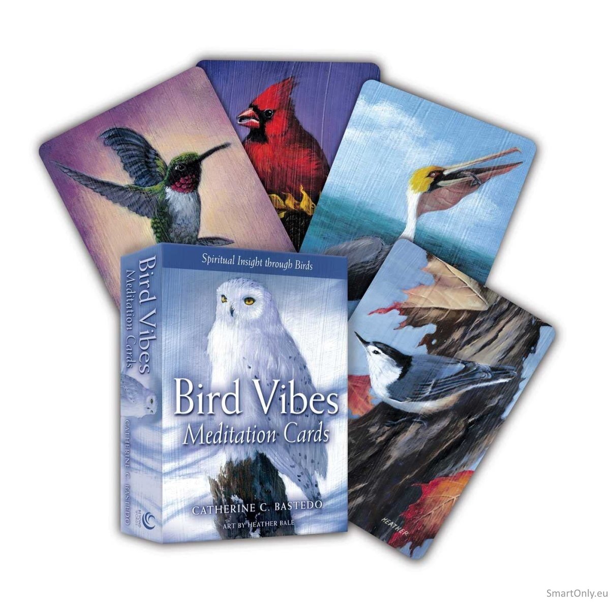 Bird Vibes Meditation kortos Beyond Woords Bird Vibes Meditation kortos Beyond Woords
