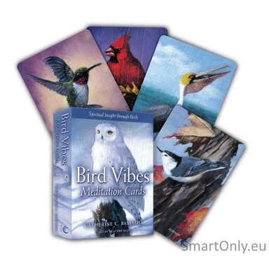 bird-vibes-meditation-kortos-beyond-woords
