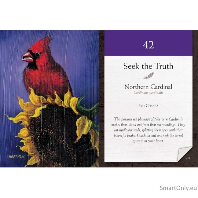 Bird Vibes Meditation kortos Beyond Woords 4 Bird Vibes Meditation kortos Beyond Woords 4