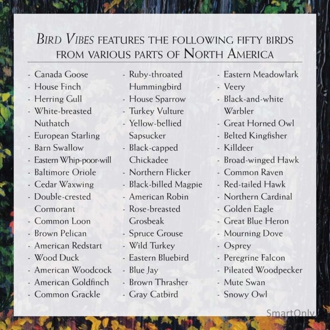 Bird Vibes Meditation kortos Beyond Woords 5 Bird Vibes Meditation kortos Beyond Woords 5
