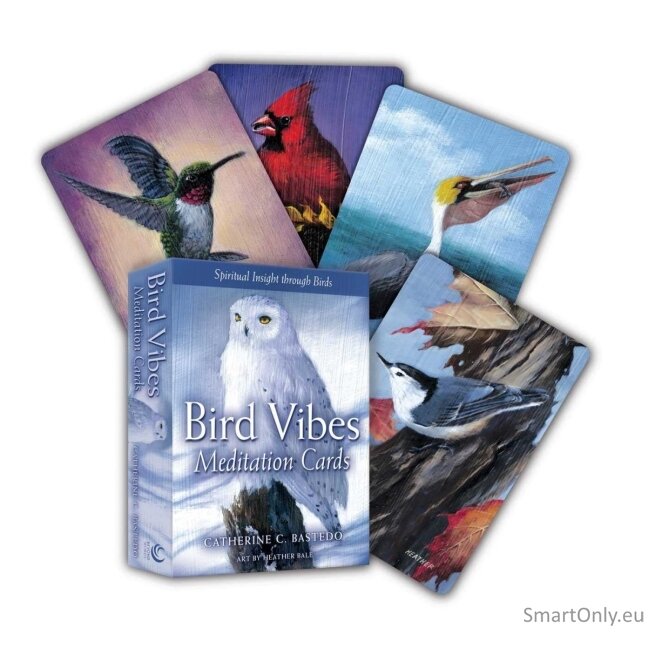 Bird Vibes Meditation kortos Beyond Woords