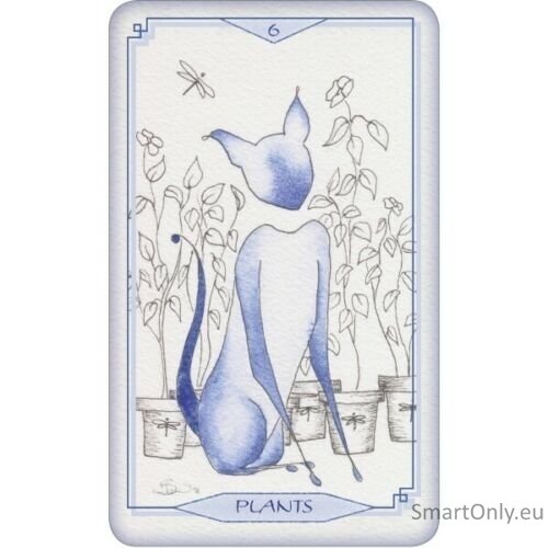 Bleu Cat Taro Kortos Schiffer Publishing 4 Bleu Cat Taro Kortos Schiffer Publishing 4