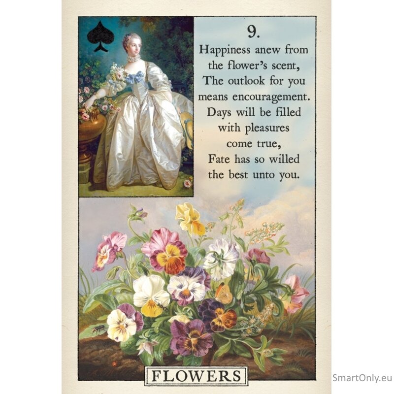 Blue Bird Lenormand kortos US Games Systems 2 Blue Bird Lenormand kortos US Games Systems 2