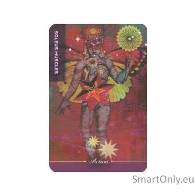 body-cards-taro-kortos-schiffer-publishing-1