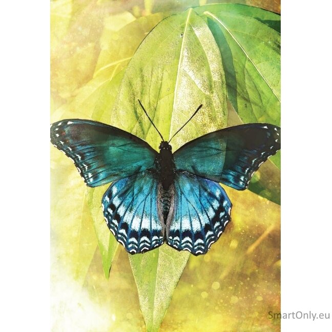 Butterfly Transformations kortos (naujas leidimas) Blue Angel 2 Butterfly Transformations kortos (naujas leidimas) Blue Angel 2