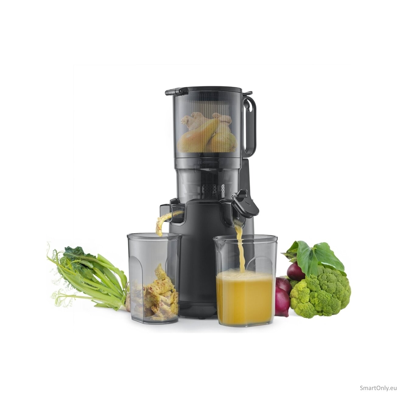Caso | Design Slow Juicer | SJW 600 XL | Type Slow Juicer | Black | 250 W | Number of speeds 1 | 40 RPM 18 Caso | Design Slow Juicer | SJW 600 XL | Type Slow Juicer | Black | 250 W | Number of speeds 1 | 40 RPM 18