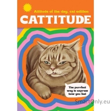 cattitude-kortos-rockpool-publishing-1