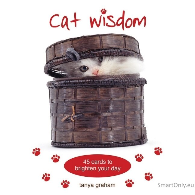 Cat Wisdom kortos Blue Angel 6