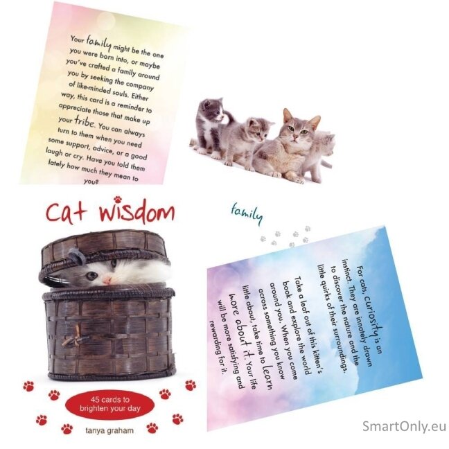 Cat Wisdom kortos Blue Angel Cat Wisdom kortos Blue Angel
