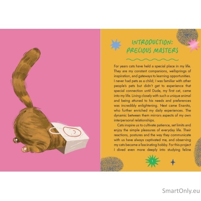 Cat Wisdom Oracle kortos Rockpool Publishing 3