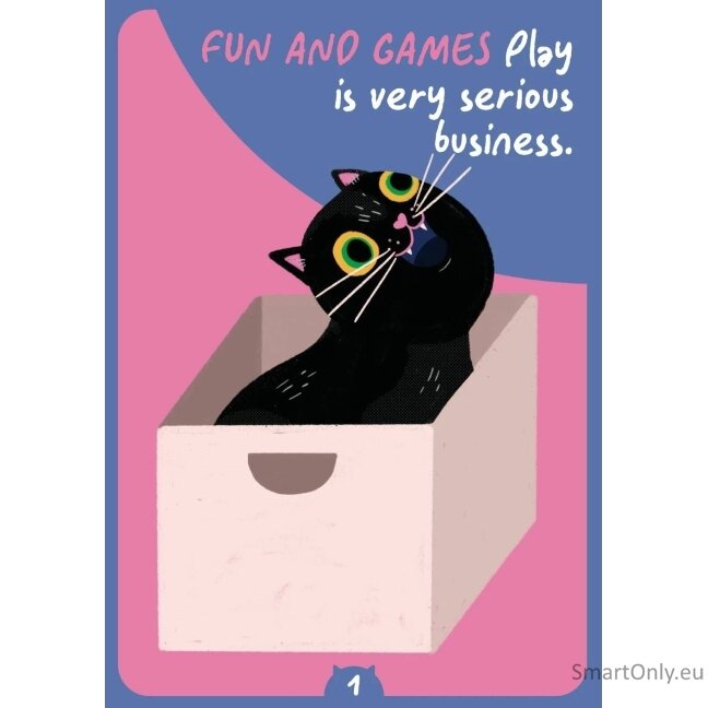 Cat Wisdom Oracle kortos Rockpool Publishing 4 Cat Wisdom Oracle kortos Rockpool Publishing 4