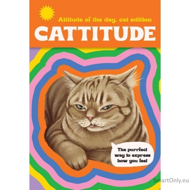 Cattitude kortos Rockpool Publishing 1