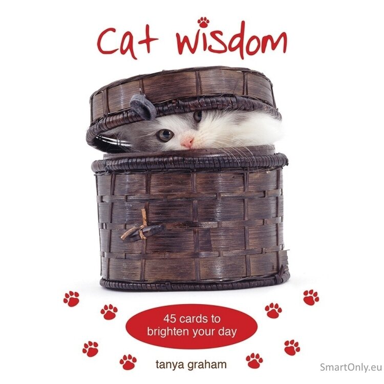 Cat Wisdom kortos Blue Angel 6 Cat Wisdom kortos Blue Angel 6