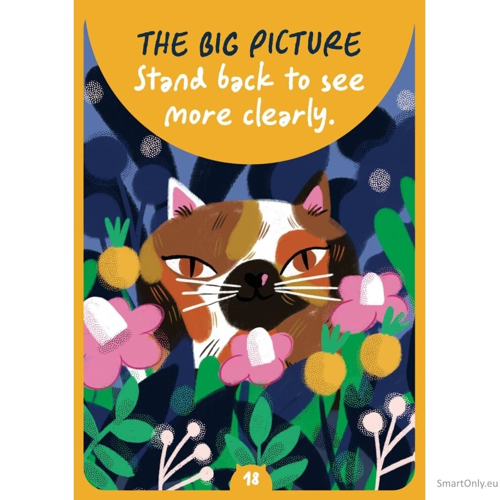 Cat Wisdom Oracle kortos Rockpool Publishing 1 Cat Wisdom Oracle kortos Rockpool Publishing 1